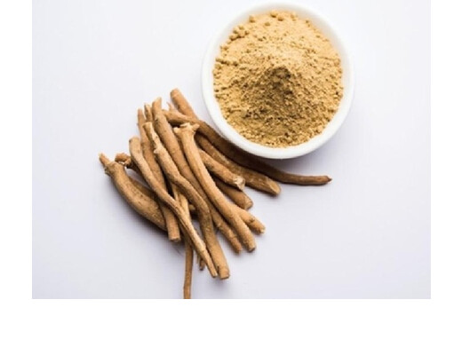 पुरुषों की हर समस्या का हल है सफेद मूसली, फायदे जानकर हो जाएंगे हैरान